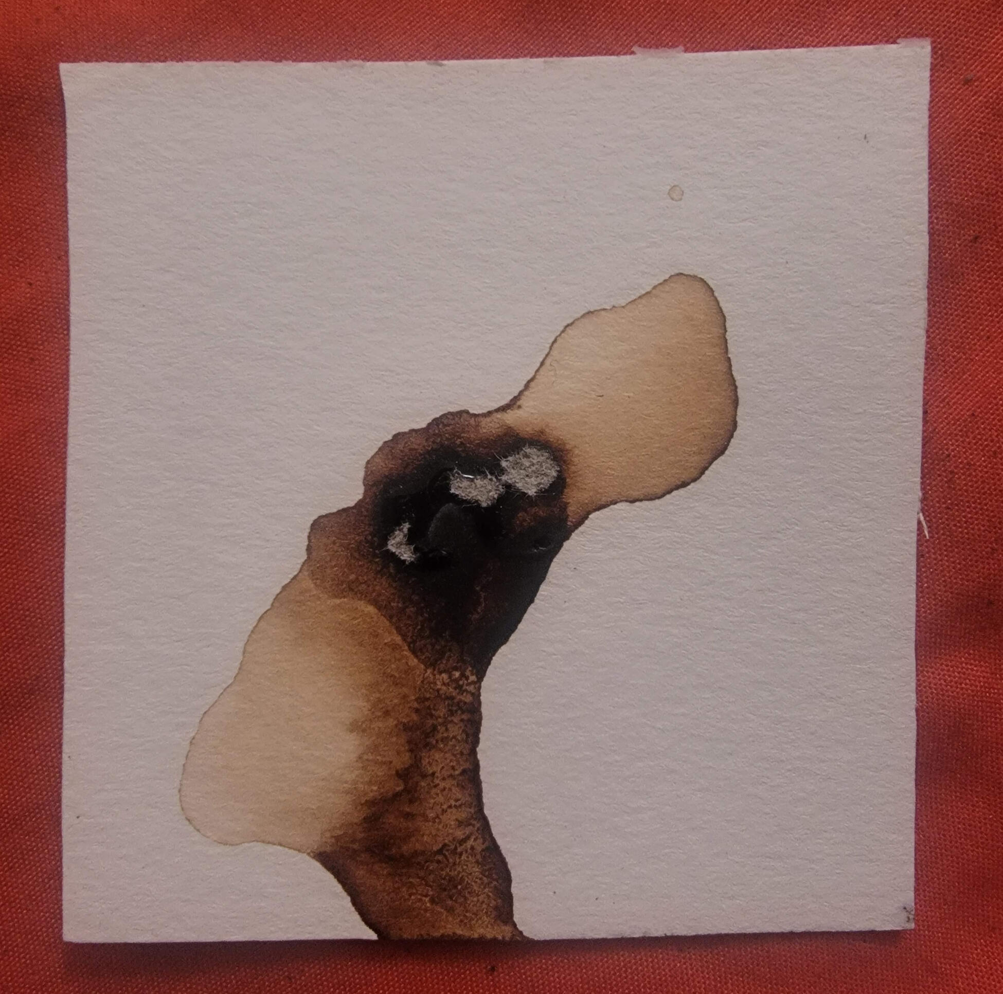 Abstract coffee stain on white paper forming an ambiguous upright figure with a pale head and dark central shape.