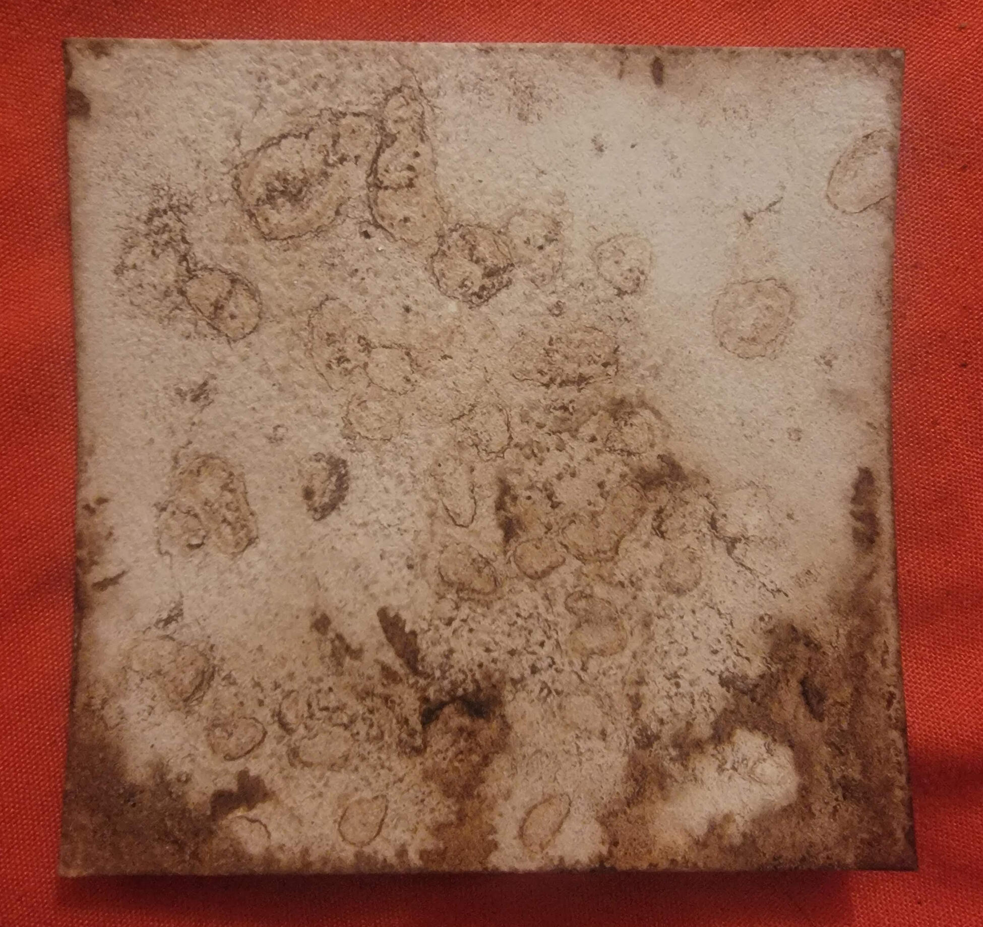 Abstract coffee-stain artwork with clusters of circular, ghostlike impressions and textured brown marks on pale paper.